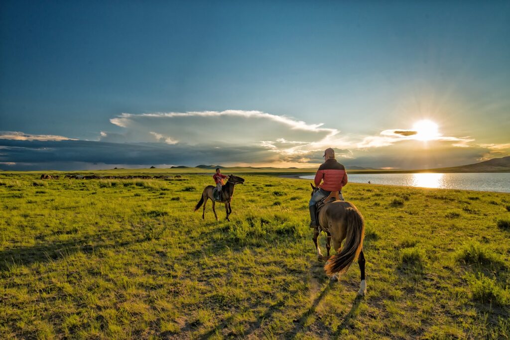 cheval Mongolie