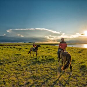 cheval Mongolie