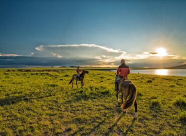 cheval Mongolie