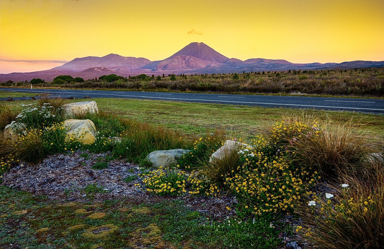tongariro, volcan