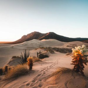 quand partir au Pérou ? climat, saisons et périodes idéales pour explorer le pays