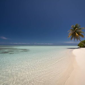Quand partir à l'île Maurice ? Temps, saisons touristiques et conseils pour bien choisir
